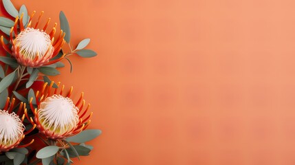 Leucospermum cordifolium, beautiful nodding pincushion isolated on uni background. magnificent inflorescence from South Africa. Card, banner - obrazy, fototapety, plakaty
