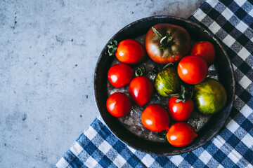 Assortiment de tomates fraichement cueillies au jardin potager pour préparer dans la cuisine