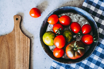 Assortiment de tomates fraichement cueillies au jardin potager pour préparer dans la cuisine - obrazy, fototapety, plakaty