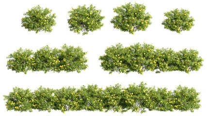 set of shrubs, 3D rendering with transparent background, for illustration, digital composition, architecture visualization - obrazy, fototapety, plakaty