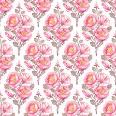 Fototapeta premium Cute vintage floral pattern. Bouquets of roses, peonies on a white background. Grunge texture. The illustration is drawn with colored pencils on paper.