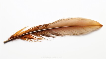 A sparrow's brown and speckled feather, offering a rustic charm, positioned on a white surface.