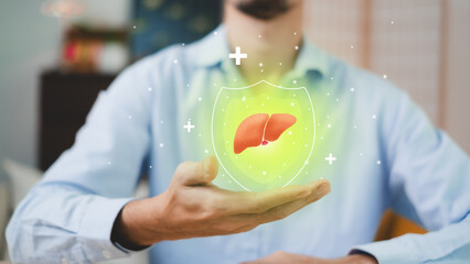 Concept of liver and health insurance. Protection from disease and sickness. Health care service. Safety first. Hospital service or support. Insurance agent. Health care planning. Life management.