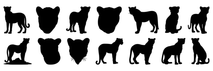 Foto op Plexiglas Panther silhouettes set, large pack of vector silhouette design, isolated white background © FutureFFX