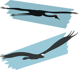 Flying birds crane and stellers sea eagle  with spread wings. Silhouette vector illustration