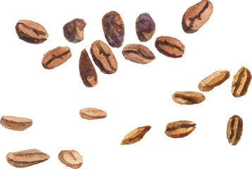 Abstract vector watercolor illustration of coffee beans. Hand drawn nature design elements isolated on white background.