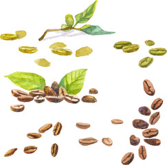 Abstract vector watercolor illustration of coffee beans. Hand drawn nature design elements isolated on white background.