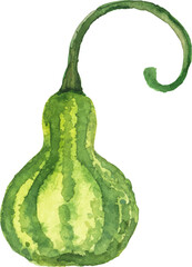 Abstract vector watercolor illustration of autumn pumpkin. Hand drawn nature design elements isolated on white background.