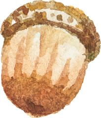 Abstract vector watercolor illustration of autumn acorn. Hand drawn nature design elements isolated on white background.