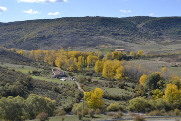 Naklejka premium autumn in the mountains