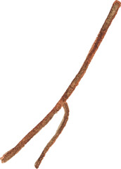 Abstract vector watercolor illustration of tree branch. Hand drawn nature design elements isolated on white background.