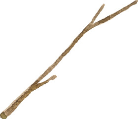 Abstract vector watercolor illustration of tree branch. Hand drawn nature design elements isolated on white background.