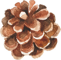 Abstract vector watercolor illustration of pine cone. Hand drawn nature design elements isolated on white background.