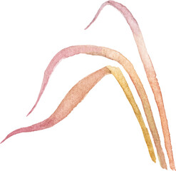 Abstract vector watercolor illustration of autumn wheat. Hand drawn nature design elements isolated on white background.