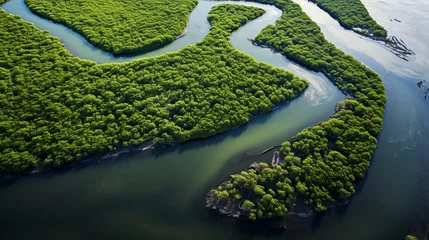 Foto auf Alu-Dibond Gambia Mangroves. Airborne see of mangrove woodland. Photo made by ramble from over © Akbar
