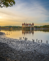Fototapeta premium Moritzburg Palace view in Saxony of Germany 