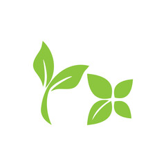 Leaf icon isolated on white background