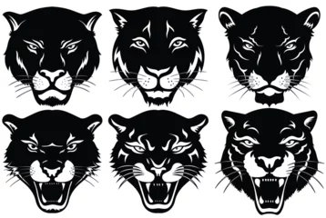 Foto op Plexiglas Set of black and white panther icon illustration. Panther head vector © bayurey