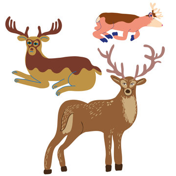 deer in different poses in vector. wild animal in flat style. Template for poster logo icon for app website. Series of animal images in flat style