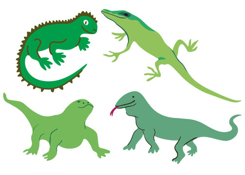 lizard, iguana, monitor lizard in vector. wild animal in flat style. Template for poster logo icon for app website. Series of animal images in flat style