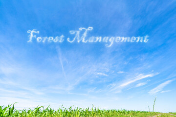 Forest Management: Strategies to balance timber extraction with conservation and regenerati