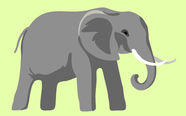 Indian elephant in vector. wild animal in flat style. Template for poster logo icon for app website. Series of animal images in flat style