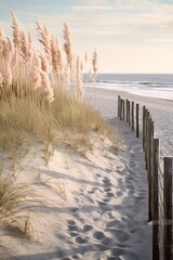 Stunning Tranquil Beach Landscape. Coast dune beach sea, panorama. Wooden fences on the shore. Sand and green grass.
