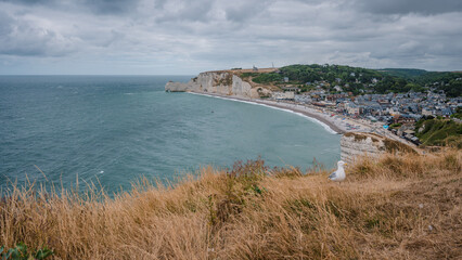 View from the cliff of French Étretat on a cloudy day with grass in the foreground