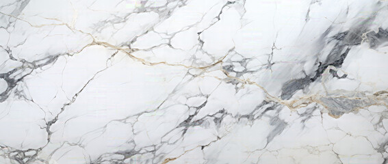 White marble. Glossy marble with grey streaks texture background