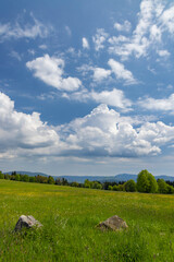 Fototapeta premium Typicallandscape near Modrava, Nation park Sumava, Czech Republic