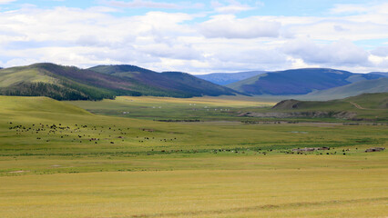 Fototapeta na wymiar Landscape of the Orkhon Valley in Mongolia