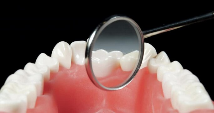 Patient at a Dentist Appointment in a Dental Clinic. View from Inside the Dental Jaw. Tooth Model and Treatment Equipment Dental Mirror on Background. Dental Care and Examined Healthy Teeth