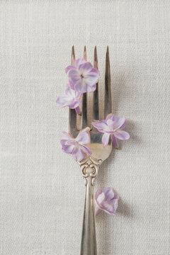 Vertical image of fresh bright petal of lilac on the elegant fork.Soft and beautiful light spring season