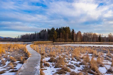 Foto op Plexiglas nature reserve Olsina, Sumava National Park, Czech Republic © Richard Semik