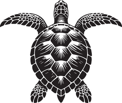 Turtle Marine Animal Vector, Sea Turtle Silhouette Clipart