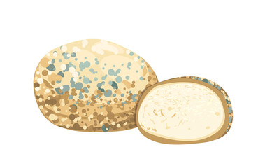 Dambalkhacho,georgian blue cheese from the historical region of Pshavia.Gourmet cheese with blue,white moldy rind.Cut piece ,delicious soft cheese with mold.Flat vector illustration,delicatessen food