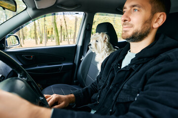 Young man driving a car with his white dog in the passenger seat enjoying road trip together