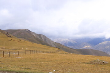 Kalmak Ashu pass in Central Tian Shan mountains, way to Song Kol lake, Kyrgyzstan, Central Asia