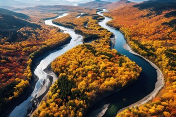 Aerial view of autumn forest with colorful trees and winding river.