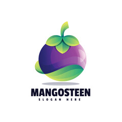Mangosteen illustration colorful logo 