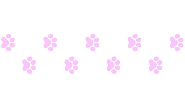 Animated cat pink tracks. A cat's paw print appears take turns. Looped video. Vector flat illustration isolated on the white background