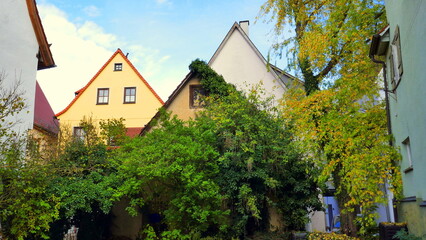 Fototapeta na wymiar Altstadt von Rottenburg mit spitzen Giebeln und grünem Efeu an der Fassade unter blauem Himmel