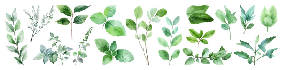 Watercolor vector set leaf. Floral illustration. Fall element. Autumn season. - obrazy, fototapety, plakaty