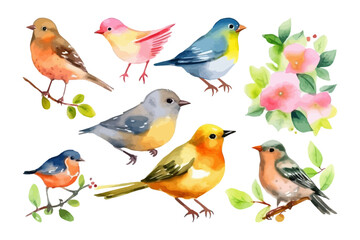 Watercolor bird collection. Fall season. Nature element.