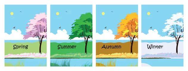 Fotobehang Four seasons landscape icon set. Tree in four times of year spring, summer, fall and winter vector illustration. © Violetta