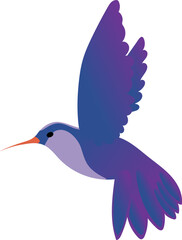 Hummingbird flying illustration