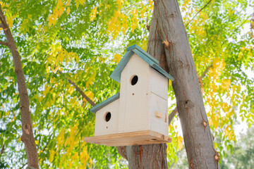 birdhouse on a tree on a sunny summer day