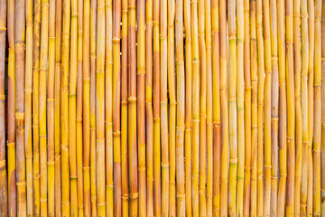 background of bamboo branches fence