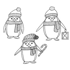 Penguins in hats and scarves set, vector illustration hand drawing