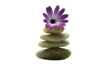 rocks in balance with pink flower transparent background